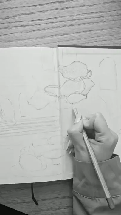 Design reel